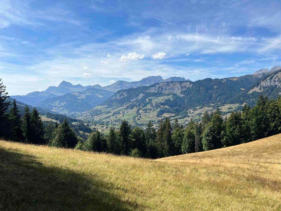 Ferienwohnung Praz Sur Arly - Proche Des Pistes Et De Megeve Exterior foto